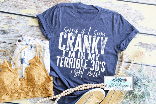 Sorry If I Seem Cranky, I'm In My Terrible 30's